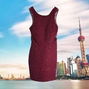 Adriana Papell Hailey Logan small red sleeveless side cut outs body con dress